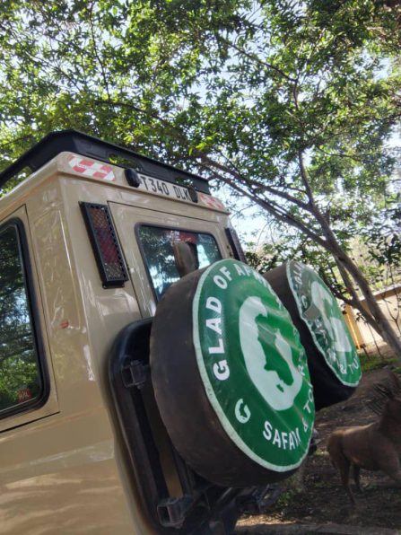 WhatsApp Image 2025-12-01 at 15.21.51