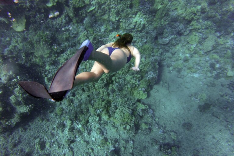 Snorkeling in Zanzibar