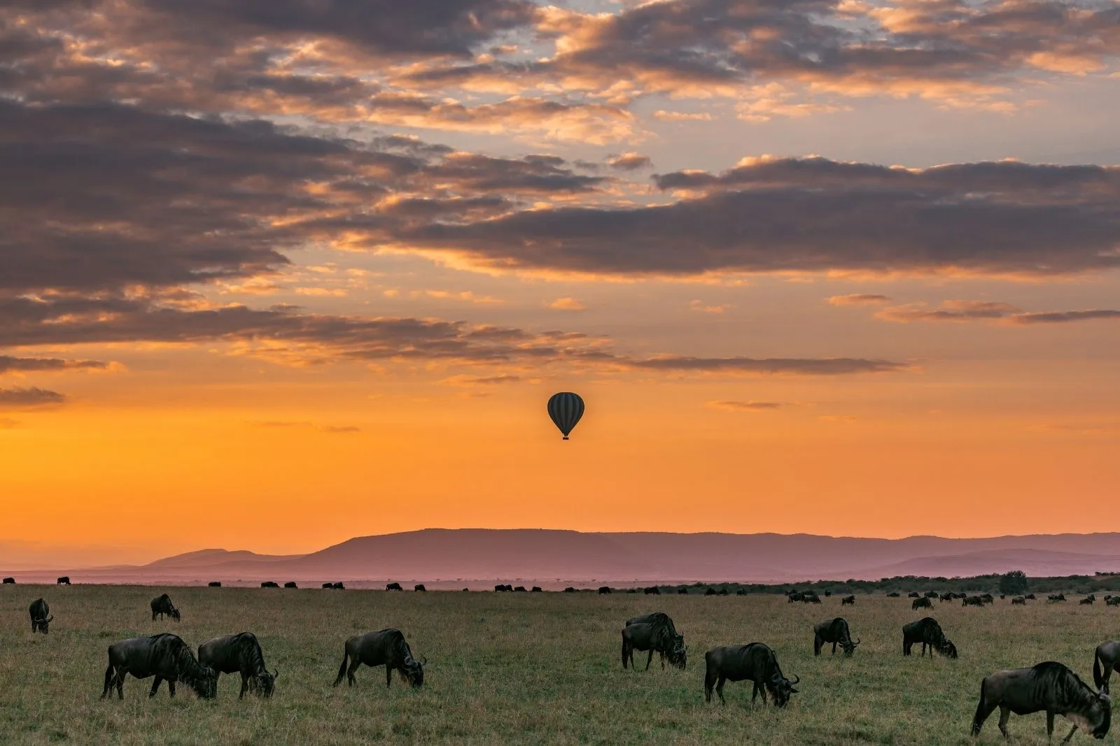 tanzania-safari-holiday