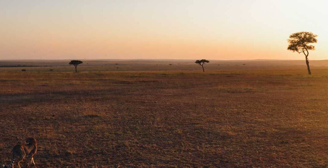 7 Days Private Luxury Serengeti Wildebeest Migration Tour
