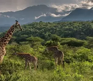Arusha National Park