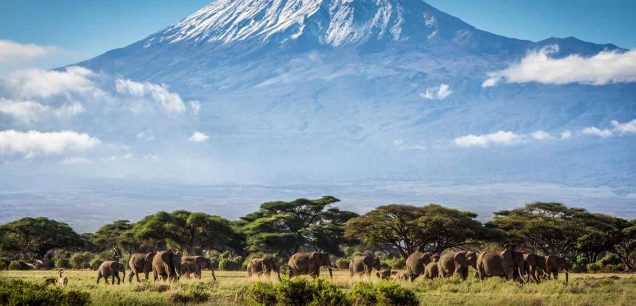 Mount Kilimanjaro National Park