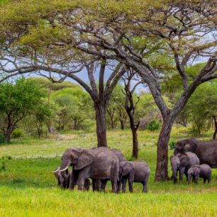 Tarangire National Park