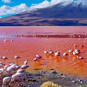 Lake Natron