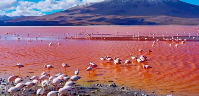 Lake Natron