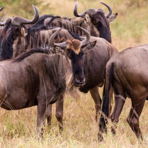 Serengeti National Park