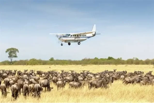 3 Day Luxury Fly-In Safari