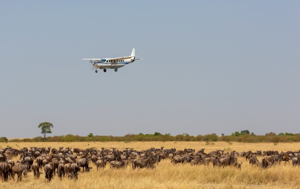 Serengeti