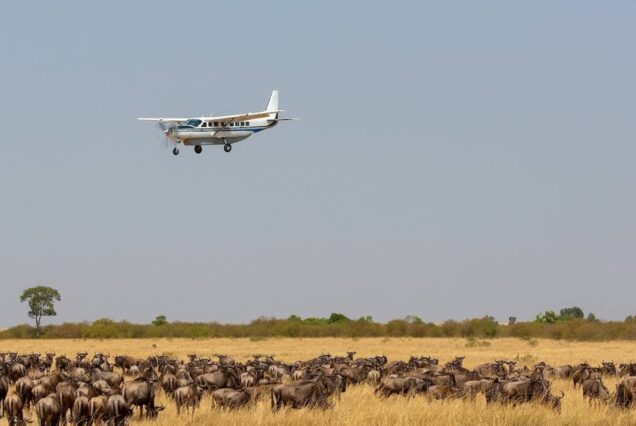 3-Day Fly-In Serengeti & Ngorongoro Crater Safari