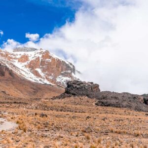 10-Days Wildlife Tracking & Kilimanjaro Day Hiking