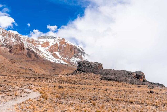 10-Days Wildlife Tracking & Kilimanjaro Day Hiking