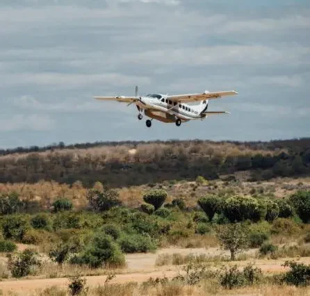 4 Days Fly-In & Fly-Out Serengeti Experience