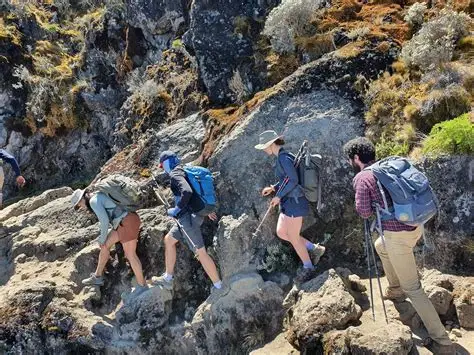 Ngorongoro