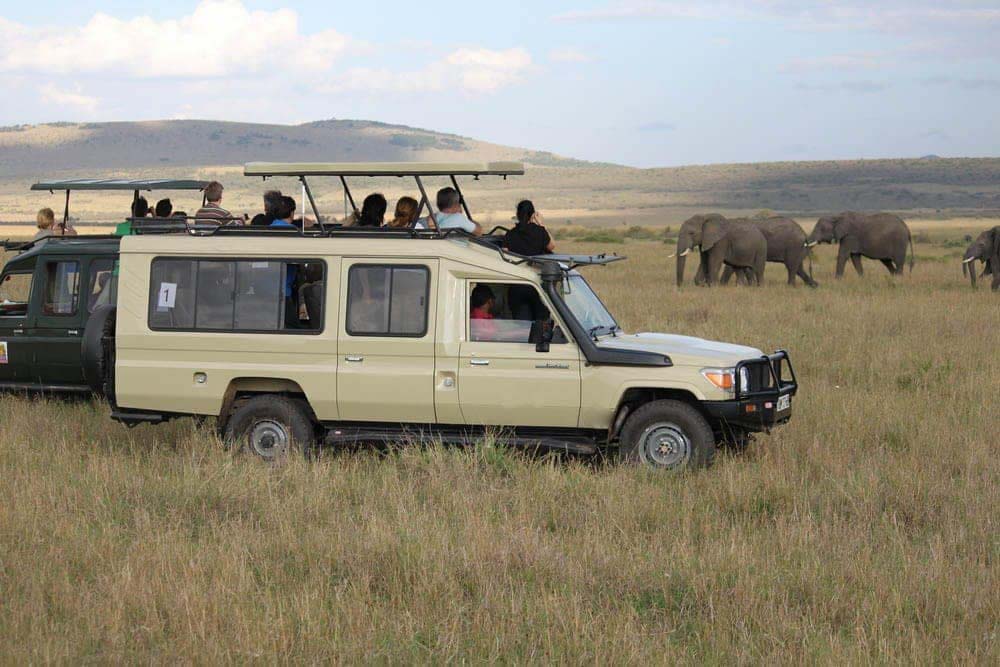 Ngorongoro Travel Tips