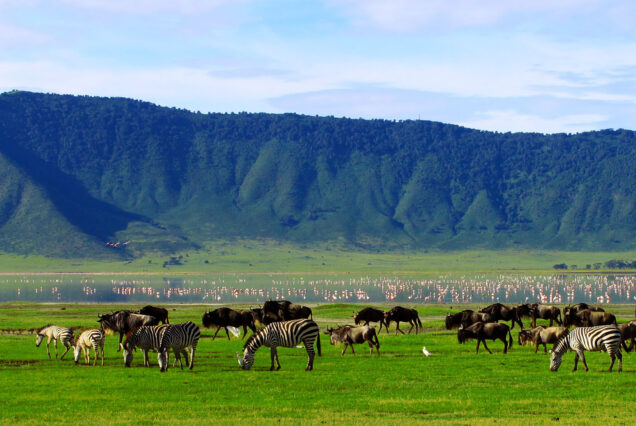 Why to Visit Ngorongoro Crater