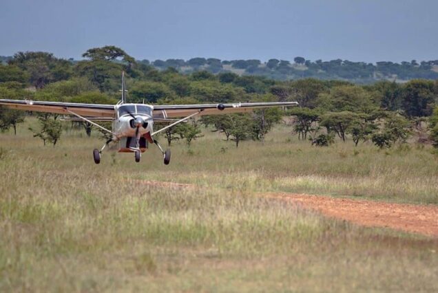 4 Days Fly-In to Northern Serengeti Safari