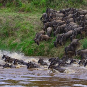 6 Days Northern Serengeti
