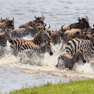 Amboseli & Tanzania Big Five Safari