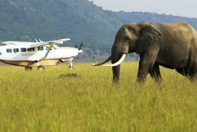 Fly-In Safaris