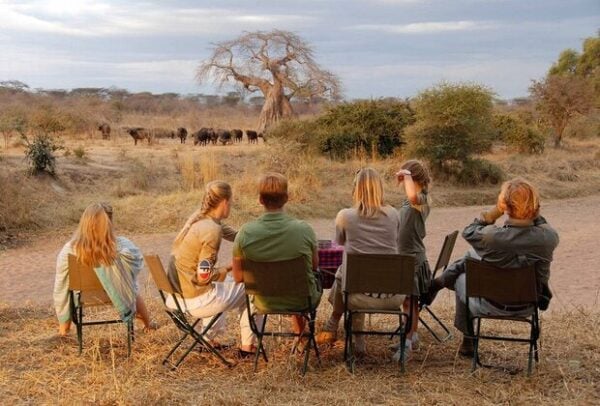 Joining Group Safaris
