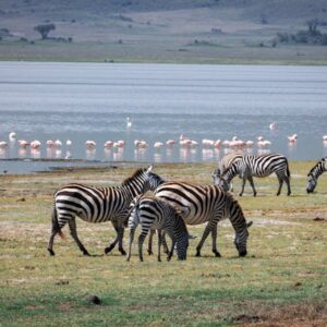 7 Days Trip to Tanzania