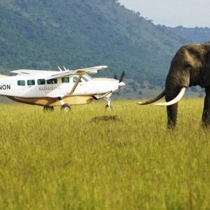 Amboseli & Fly-In to Serengeti Mara River Crossing Safari