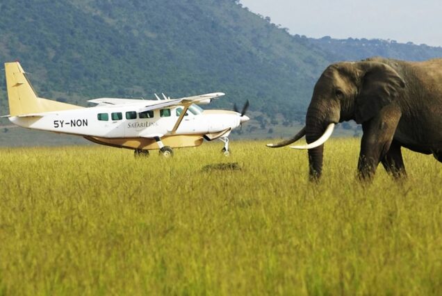 Amboseli & Fly-In to Serengeti Mara River Crossing Safari
