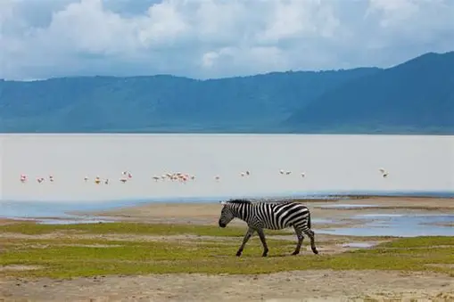 Ngorongoro Crater Day Trip