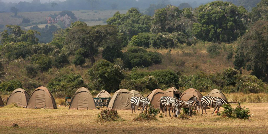 Budget Safaris