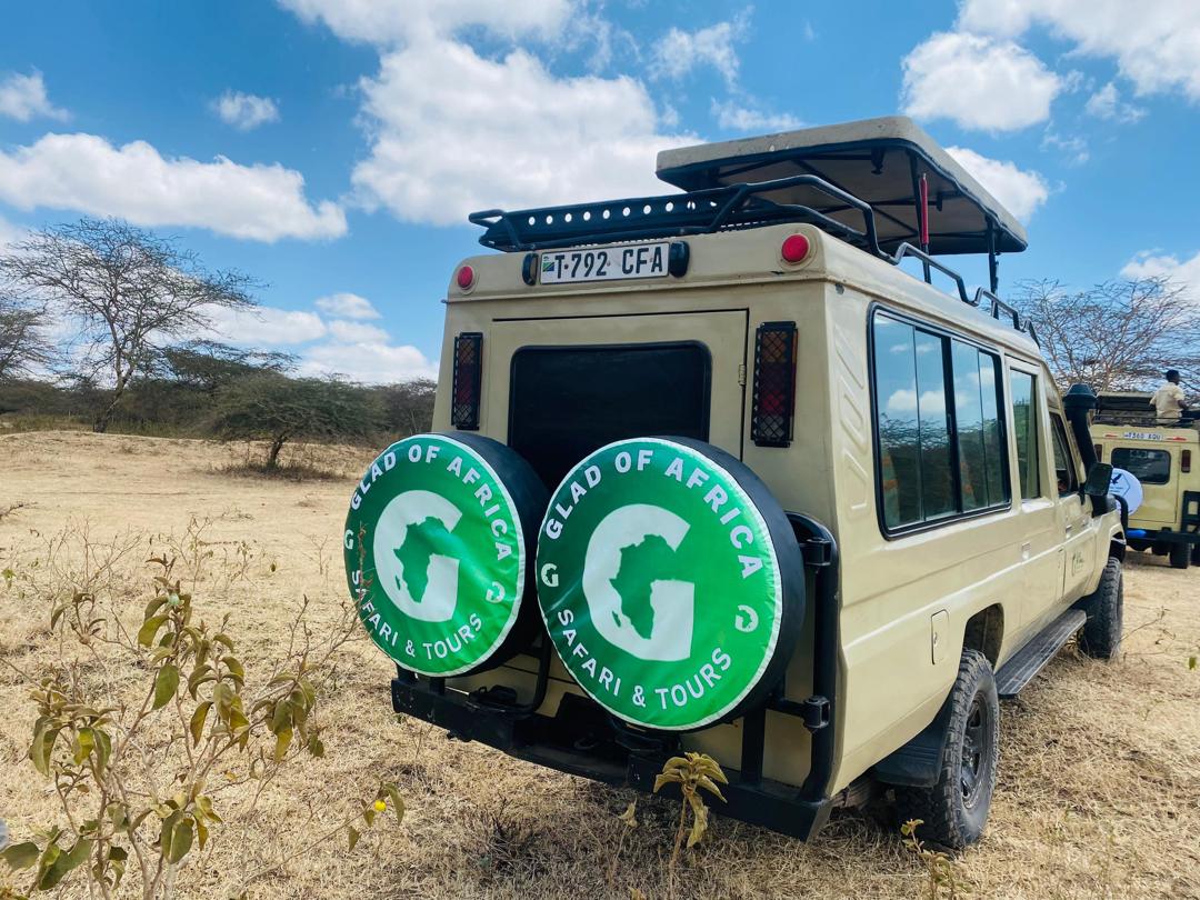 Tanzania Safari