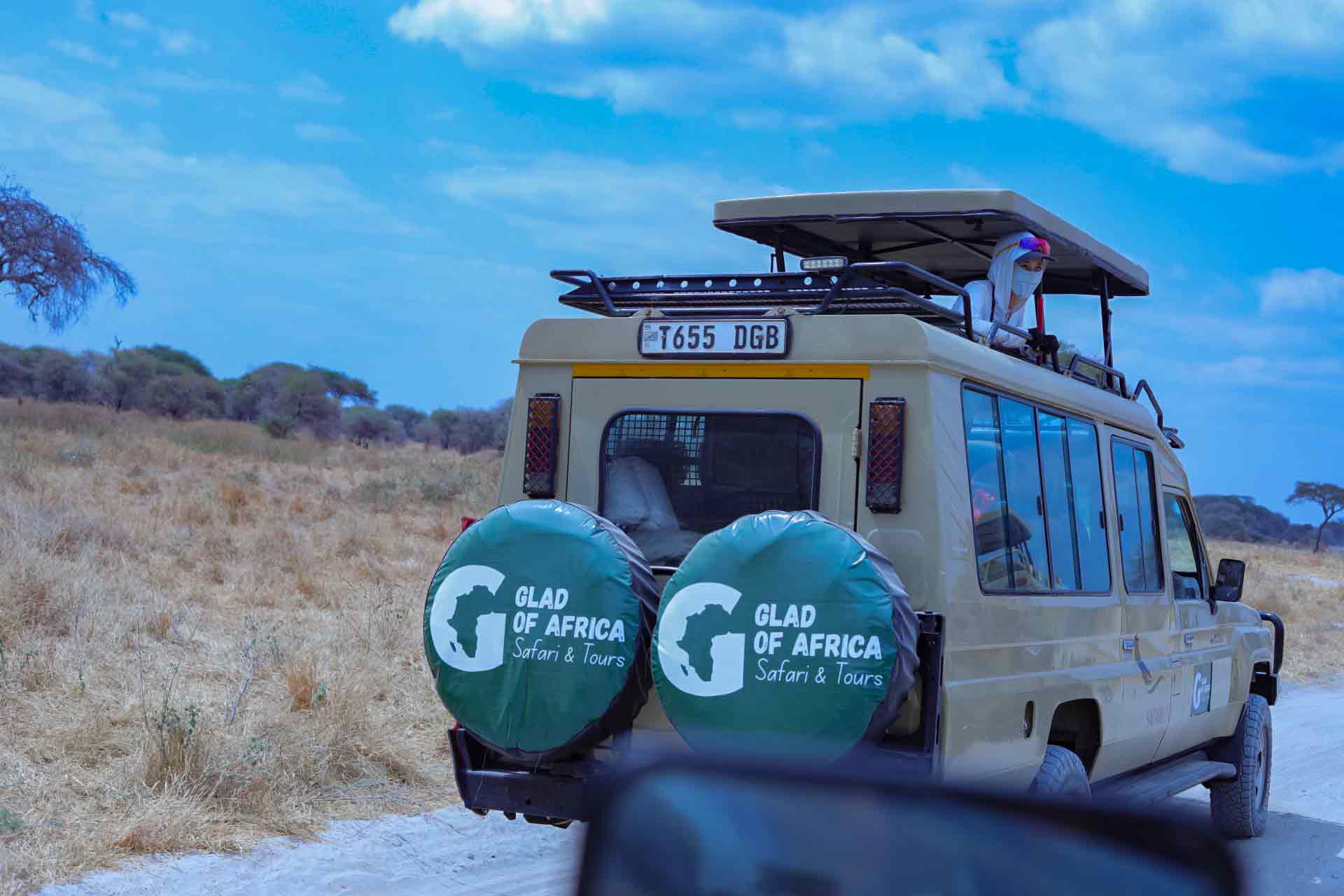 Safari wildlife, Tanzania
